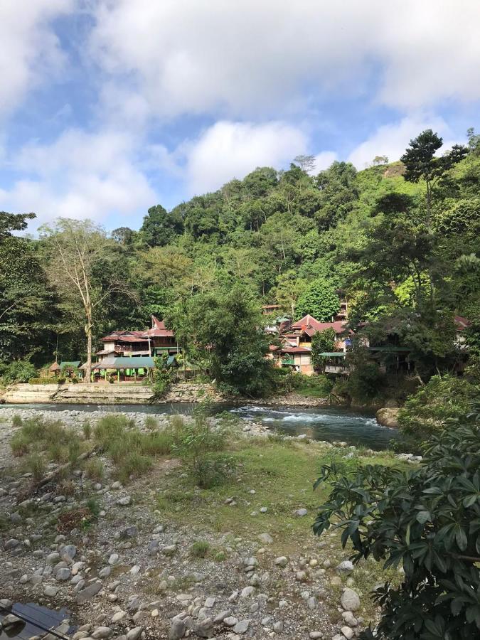 Thomas' Retreat Bukit Lawang 호텔 외부 사진