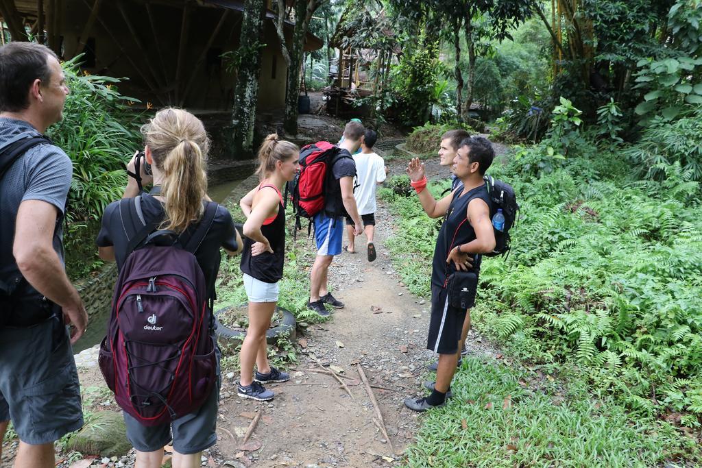Thomas' Retreat Bukit Lawang 호텔 외부 사진